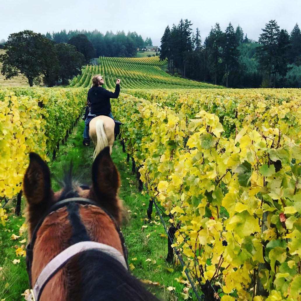 WFA Portland Fall 2017 127